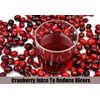Concentrated Cranberry Extract  - CONCENTRATED 50:1 CRANBERRY - 400 Bladder - 2B