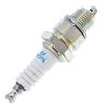 Polaris Spark Plug, Part 0450005