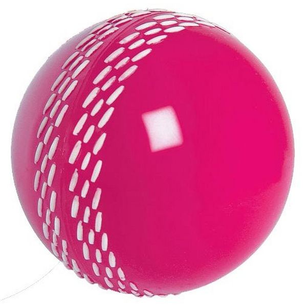 Gray-Nicolls Velocity Cricket Ball, Light Pink, One Size