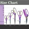 Ultimate Value Scissor Set for Kitchen and Craft - 5pc - 1 Set
