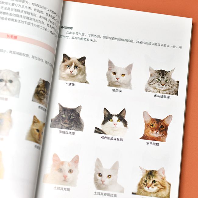 猫图鉴 全新图解版