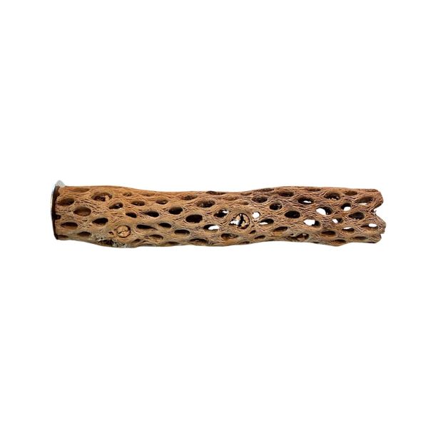 Polly's Cholla Cactus Bird Perch, Medium