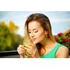 digestive enzyme supplements - DANDELION ROOT 520MG - vitamins y minerals 2B