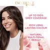 L'Oréal Paris L'Oreal excellence permanent hair dye