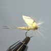 TIEMCO Shimazaki Fly Wing V #01 Light Dan