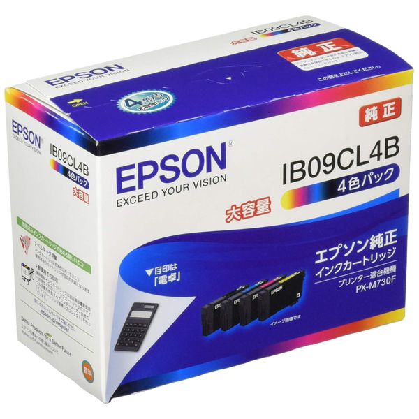 Genuine Epson IB09CL4B 4 Color Pack High Yield Ink Cartridge