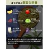 ヘンププロテインパウダー 100g×2袋 完全無添加 麻の実