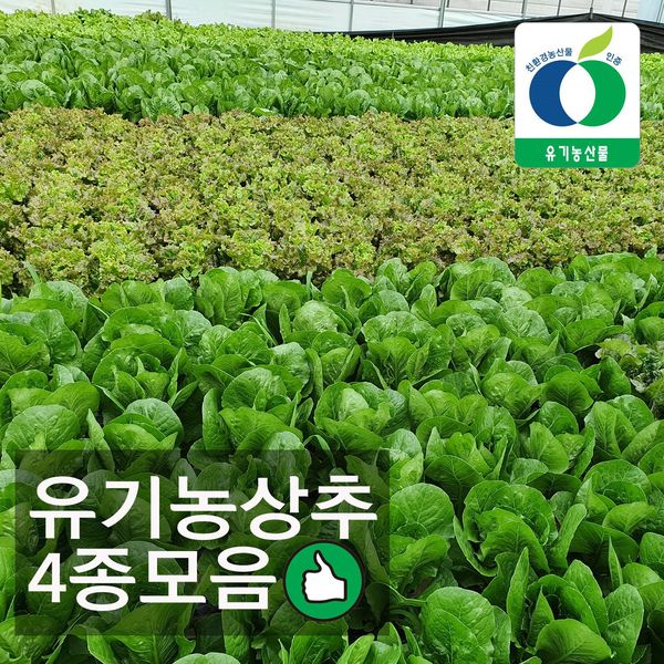 Assorted organic lettuce and vegetables from Chiak, Gangwon, 4 kinds of lettuce, 500g, 1 pc