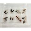 16 Daiwl Bach & Cruncher Nymph Flies, compartment box, please see description