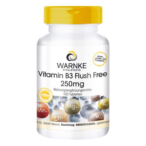 Vitamin B3 Tabletten - Nicotinamid - Flush Free - 250mg - vegan - 100 Tabletten | Warnke Vitalstoffe