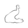 Graceful Plumes Stamp & Die - Proud Peacock