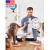 Silent Kids Wall Clock – Non-Ticking, Battery-Powered, Ideal for Teaching Time a