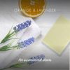 Friendly Soap Natural Handmade Shaving Soap