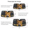 Car Windshield Sun Shade, Orange Cat Windshield Sunshades Sun Visor Protector Foldable Blocks UV Rays