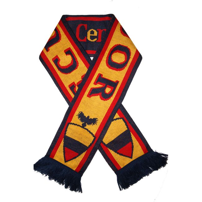 ECUADOR soccer scarf