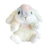 AQUA Plush Kutarin Rabbit Rainbow (Fabric Pattern Random ※ Not Available)