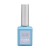 flicka nail arts NWHT Non-Wipe Hard Top