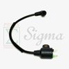 Magneto Ignition Coil Spark Switch For 2HP 2-Stroke 2-Cycle 63CC 64CC Generator