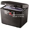 Pair of Replacement Keys for Sentry Safe Lock Boxes, Fire Chests & Files, & Fire/Water Files Cut to Code 3G2