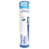 Boiron Cocculus Indicus 6C (Pack of 5), Homeopathic Medicine for Motion Sickness5 Count (Pack of 1)
