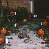 Realistic Simulation Snake Model - Fake Prank Prop for Halloween Kids
