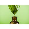 Massage Oil for Sciatica - 100ml Bottle