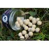 CC Moore NS1 Northern Specials Pop-Ups 14mm (White)