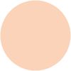 Ferm Moisturizing Glossy Skin Powder Foundation Replacement 02 Natural Skin Color