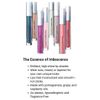 Almay Goddess Gloss Lip Gloss - 400 Rainbow - 0.1 fl oz
