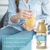 Lemon and Honey Gingerade by The Ginger People – Digestive Health, Premium Quality - 12 Fl Oz Bottle (Pack of 24)