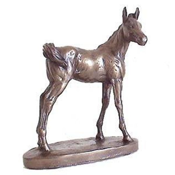 Bronze Horse Foal Sculpture by David Geenty