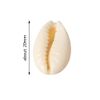 100 Pcs Natural Spiral Oval Seashells: Beach Sea Shells for Crafts)