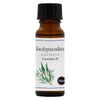 100% Natural Essential Oil Eucalyptus Radiata 20ml