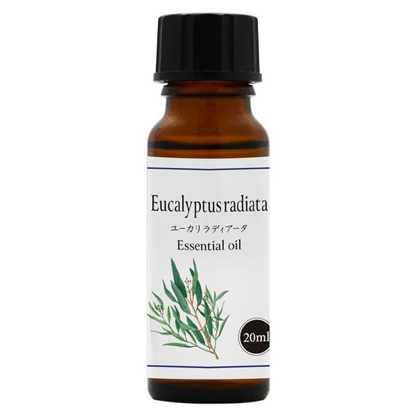 100% Natural Essential Oil Eucalyptus Radiata 20ml