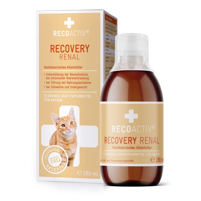 RECOACTIV Recovery Renal für Katzen, 1 x 280ml, hochkalorisches Diät-Alleinfuttermittel bei Nierenfunktionsstörungen und erhöhtem Energiebedarf in der Rekonvaleszenz, zur Gewichtszunahme