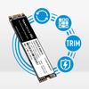 2TB TEAMGROUP MS30 M.2 2280 SATA III Solid State Drive
