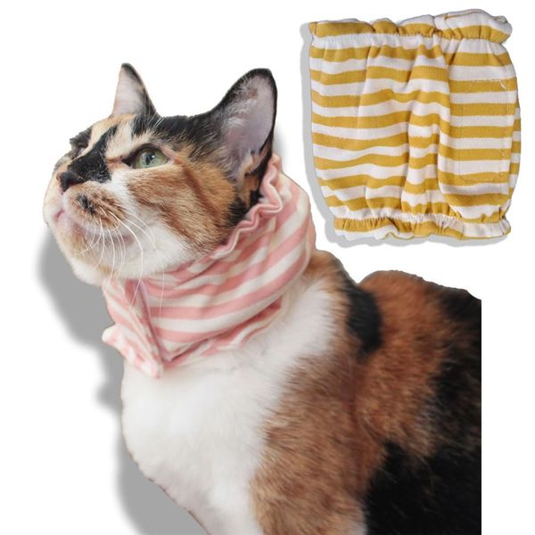 Cat Esophagus Tube Cover (Yellow)