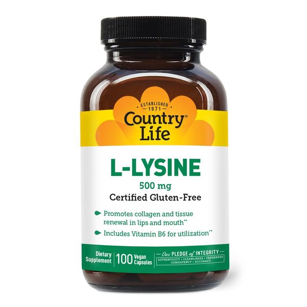 L Lysine Nutritional Supplement 100 Count Vegan Immune Support for Collagen