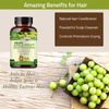 Amla Capsules (Phyllanthus Emblica) – Amalaki amla 120 Capsules | Natural Antioxidants Superfood | Herbal Supplement Made with Organic Amla Fruit Powder