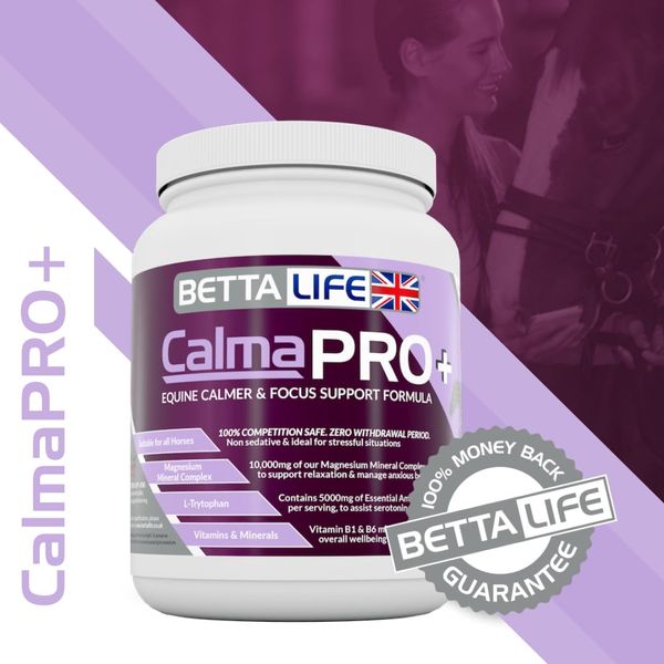 CalmaPRO+ Equine Calmer and Focus Support Formula