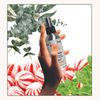 Before Your "Go" Toilet Spray - Peppermint Eucalyptus - (Deuces Wild) - 4 fl oz