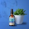 Motherlove Sitz Bath Spray (2 oz) Sitz Bath for Postpartum Care—Herbal Perineal Spray w/Witch Hazel—USDA Organic, Vegan, & Cruelty Free