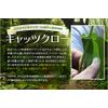 petting Life Theater Rhino kyattukuro- Solid (MSM Blend) Set of 2 