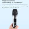 Wireless Pro UHF Dual Handheld Microphone System Set Rechargeable Karaoke Church