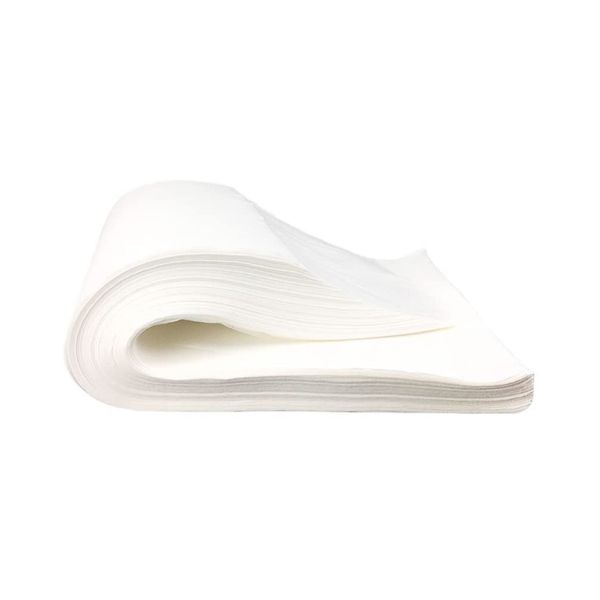 HEALLILY 100 Sheets Disposable Towels Pedicure Towels SPA Salon Towel Absorbent Towels Non- woven Cloth Bath Towels Face Wash Towels for Home Shop