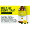 Mullein Drops for Lungs Cleanse - USDA Organic Mullein Leaf Extract w/ Turmeric