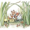 Museums & Galleries Brambly Hedge Picnic Time 8 Square Notecards Wallet