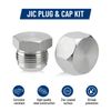 64Pcs JIC 37° Cap & Plug Assortment Hydraulic Adapter Fitting "AN" Kit with Case