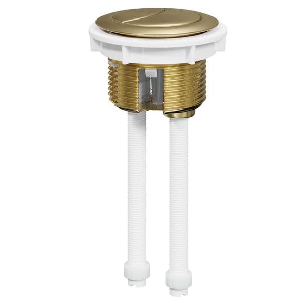 Frontline Dual Flush Button Brushed Brass
