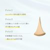 TOITEC TEISIN Ginkgo Mold (Set of 2)